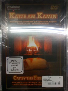 Katze_am_kamin